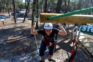 Parque de los arboles